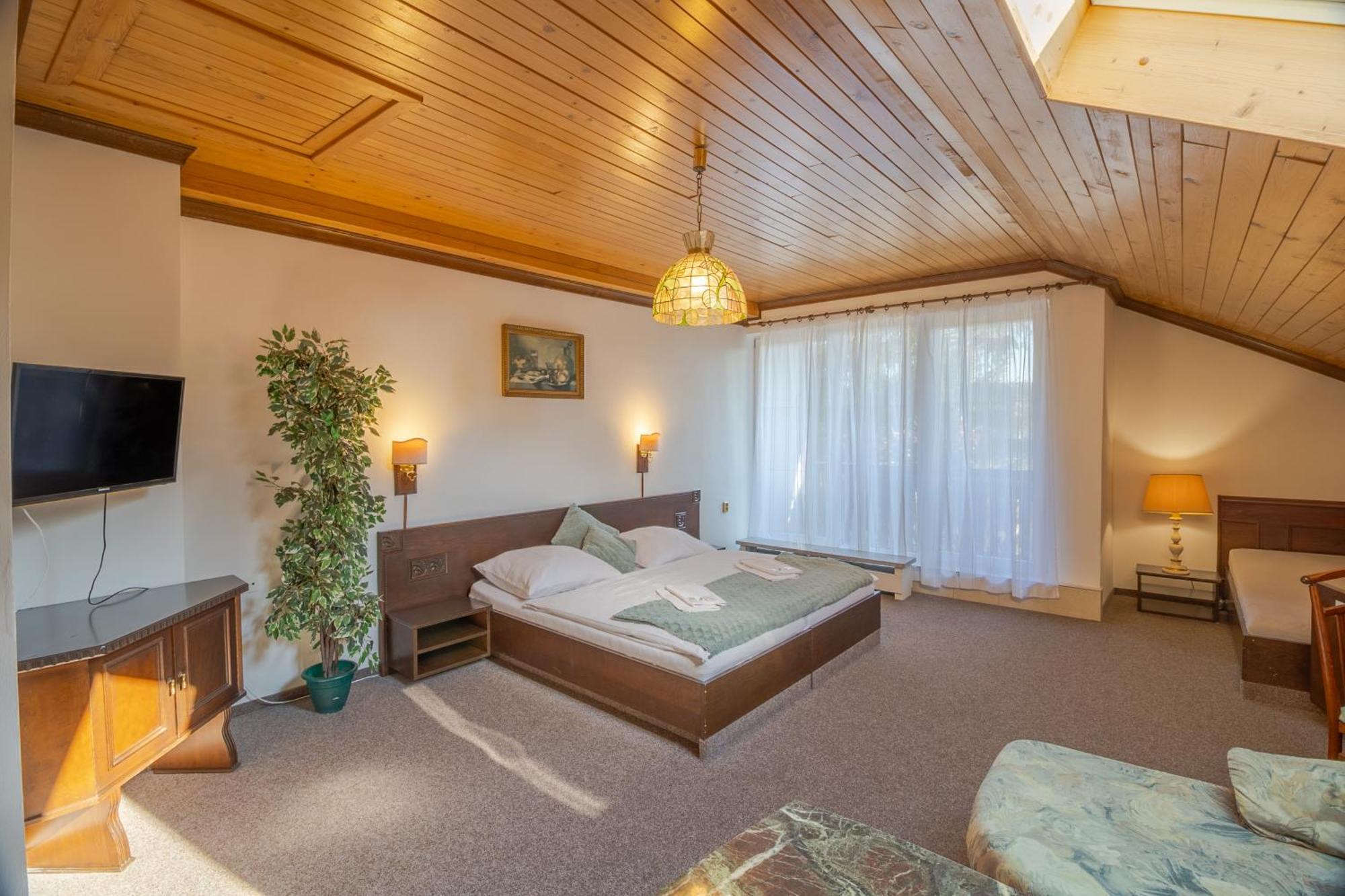 Hotel Pavla Vysočina 3*