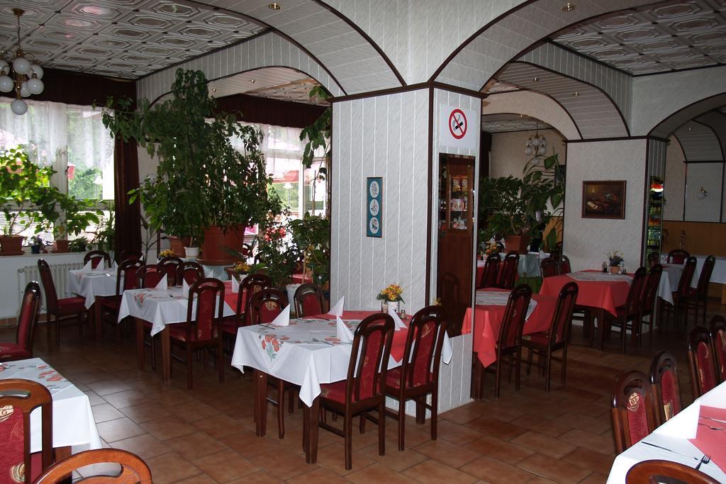 Pavla Vysočina