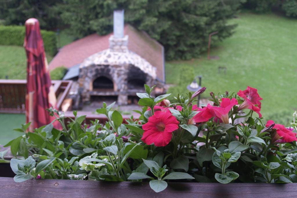 Hotel Pavla Vysočina 3*